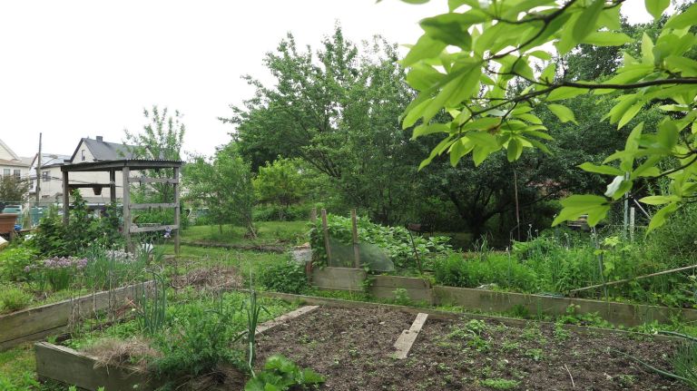 What to do and where to eat in Morris Park, east of the Bronx Zoo 6 River Garden offers an oasis from the city as it grows all sorts of fruits and veggies on East 180th Street.