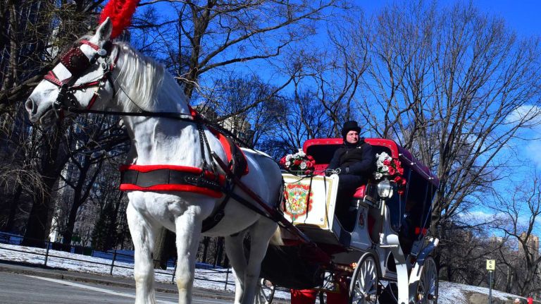A horse-drawn carriage exits Central Park on Monday, Jan. 18, 2016.