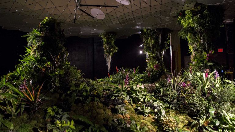 The Lowline  Lab is open to the public on weekends.