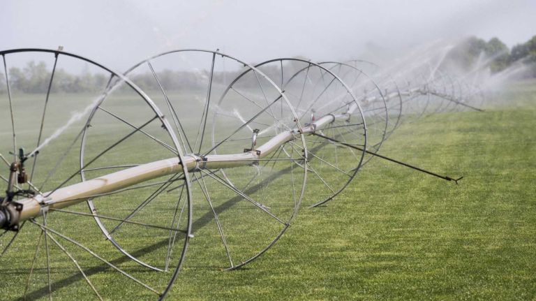 Irrigation wheels water a sod farm in Mattituck during a dry spell, May 20, 2015.
