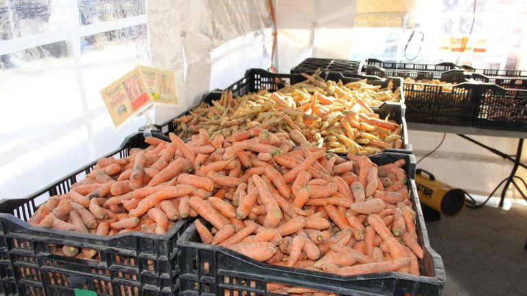 How NYC's greenmarkets, restaurants keep veggies fresh in the cold winter months 4 The Union Square Greenmarket offers a variety of root vegetables in the winter months.