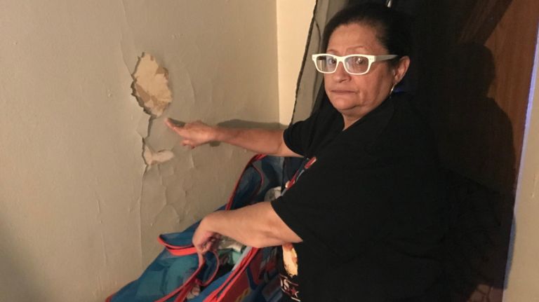 For a four year period beginning in 2013 the New York City Housing Authority skipped mandatory inspections for lead paint. 