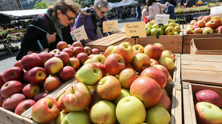 Shoppers at the Union Square Greenmarket.