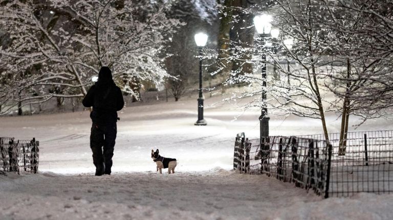 A person takes a small dog for a walk in Central Park as wet snow&nbsp;blankets part of the Upper West Side on&nbsp;March 4, 2019.
