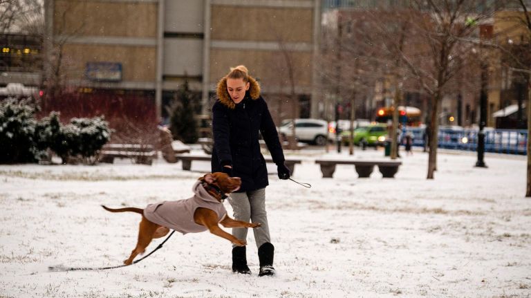 A woman plays with her dog in the snow at Holocaust Memorial Park on Shore Boulevard in Manhattan Beach, Brooklyn, on Jan. 18, 2019.