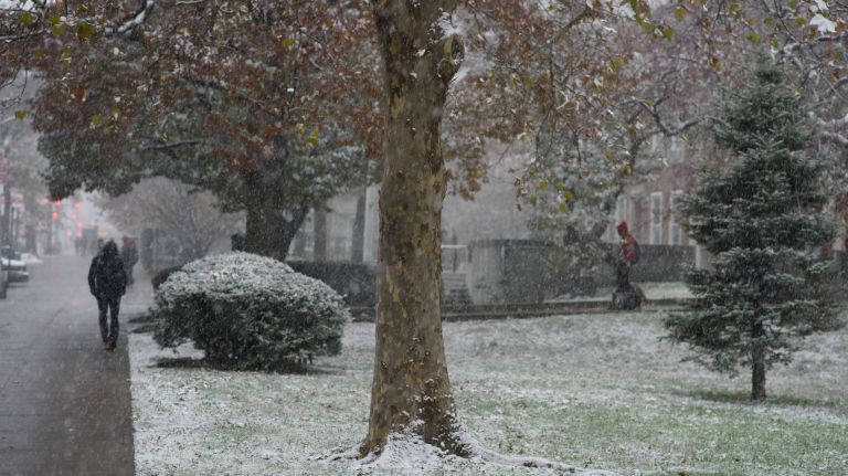 Snow falls along Queens Boulevard in Kew Gardens, Queens, on Nov. 15, 2018.