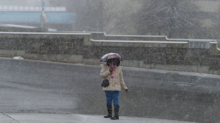 New York City got between 2 and 4 inches of snow Nov. 15, 2018, according to the National Weather Service.