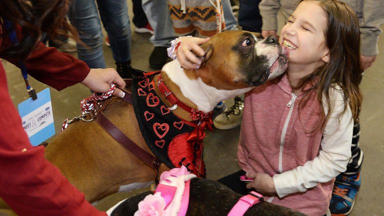 Venger, a&nbsp;6-year-old Boxer from New Jersey, kisses&nbsp;Mary Francis, 9,&nbsp;from Connecticut.