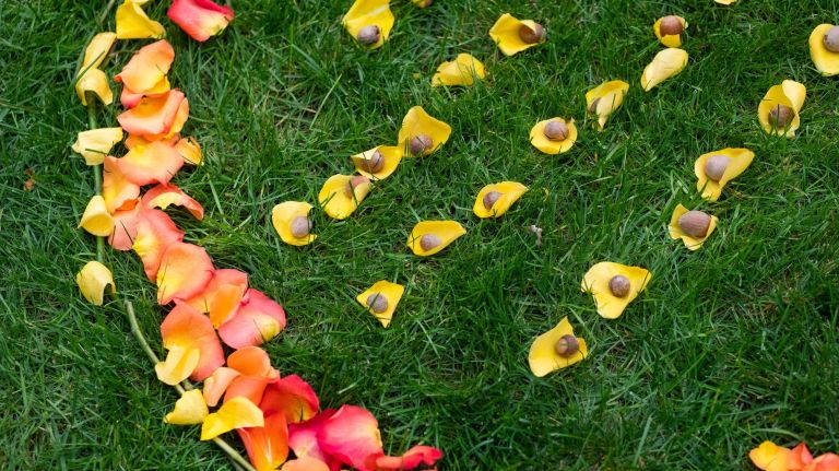 Flower petals are used to create the installation at the 9/11 Memorial.
