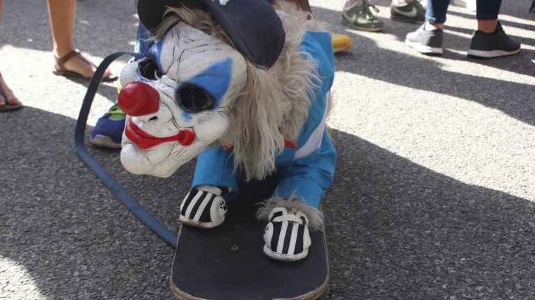 How could you be scared of a poodle mix? Shaggy, 11, spooked everyone as the clown from 