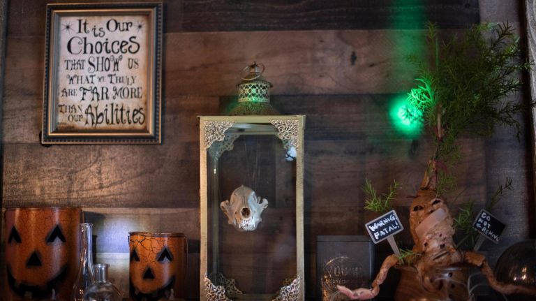 If you look close enough, you'll spot a mandrake -- the baby-like root that screams in "Harry Potter."