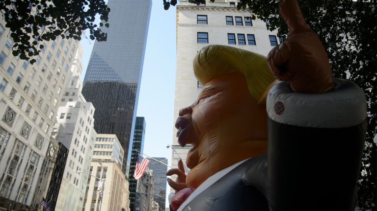 In the shadow of Trump Rat.