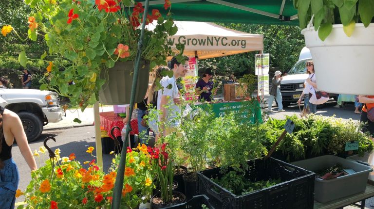 What to do and eat in Inwood in northern Manhattan 8 Every Saturday, the Inwood Greenmarket takes over a block of Isham Street between Cooper Street and Seaman Avenue. Vendors include market staples like Bread Alone and Ronnybrook Farm Dairy, but if you hurry you may catch Nolasco Farm, specializing in Mexican produce and herbs, and Valley Shepherd Creamery, and sheep cheese from Hunterdon County, N.J., according to grownyc.
