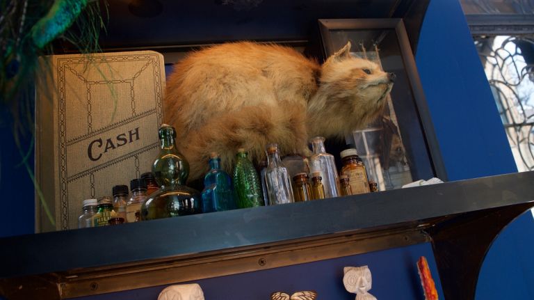 ...you'll find a cash ledger dating back to the mid '20s, a selection of medicine jars made between the 1880s and 1950 and a blonde raccoon stuffed circa 1960.