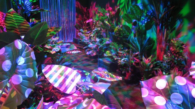 'Walk' through your dreams at Williamsburg exhibit 13 Look down and there's grass underneath. As you walk through this strange garden of striped and polka-dotted plants, you'll feel as if you've been transported to an alien planet.