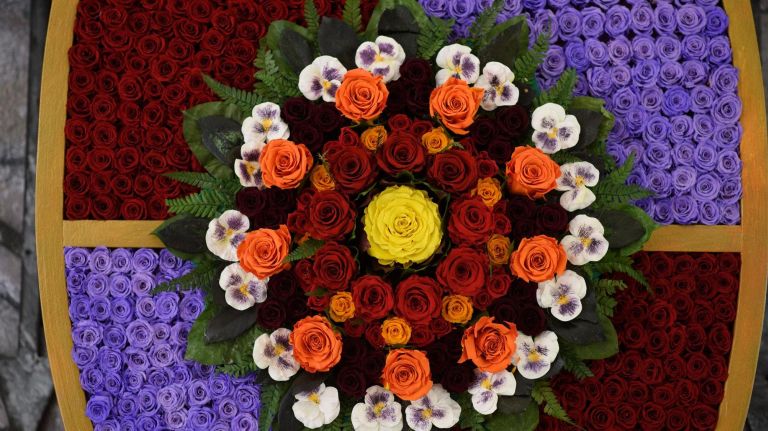 Macy’s Flower Show creates a fairy tale of flowers 14 A detail from