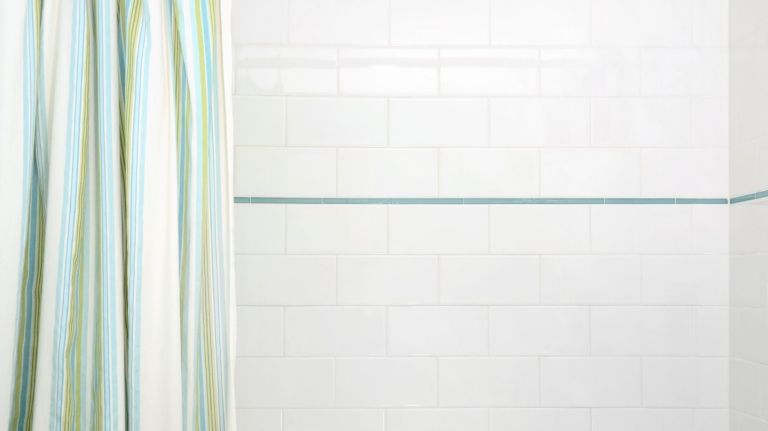 A vinyl shower liner 