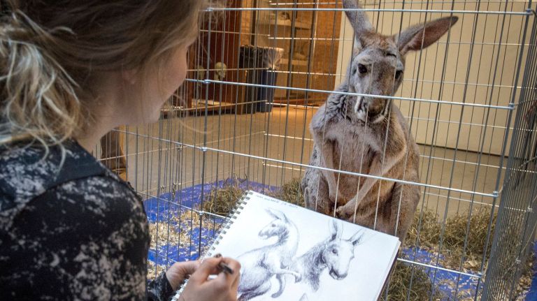 Art student Ragga Thorgrimsdottir drawing a red kangaroo named Lulu during art class at the New York Academy of Art in TriBeCa on Tuesday, March 29, 2016.