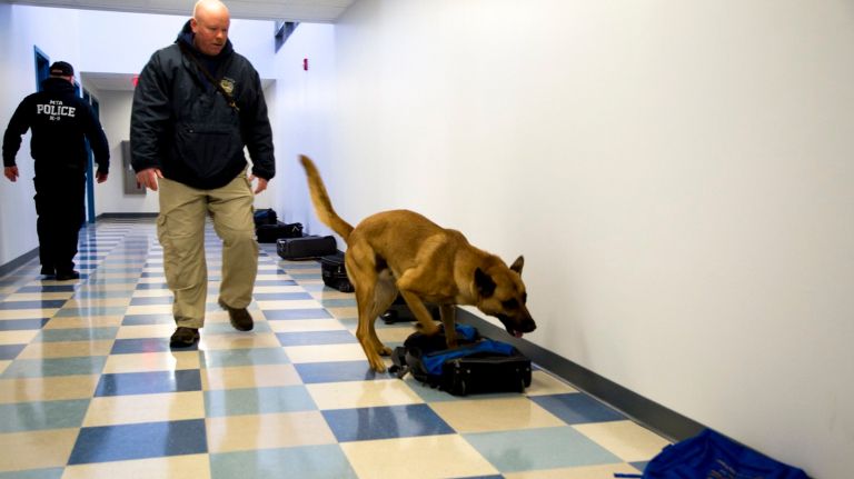 Photos: See MTA's new K-9 facility 6 MTA Police Department Canine trainer Allen Kirsch trains his canine, Sentry, in the largest K-9 training facility in the States located in Stormville, NY.