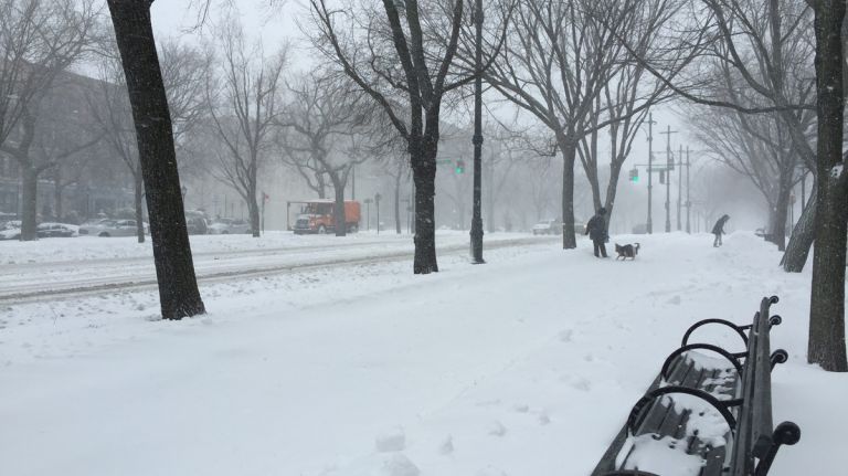 A snowy Eastern Parkway in Crown Heights, Brooklyn, on Jan. 23, 2016.