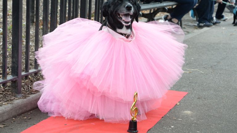 Ruby, 13, dressed up as the singer, Rihanna, at this year's Grammy Awards night.