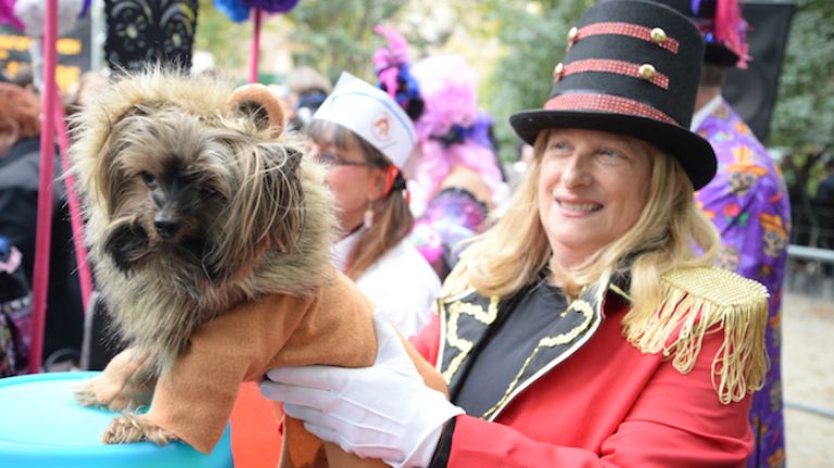 Gianna the Lion was one of a group of three circus animals that won second place in the first round.