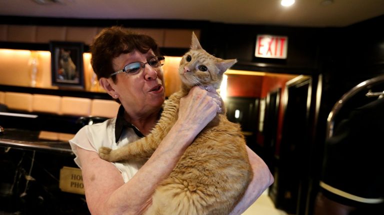 Hamlet VIII, at the Algonquin Hotel, with chief cat officer, Alice De Almeida, who takes care of him.