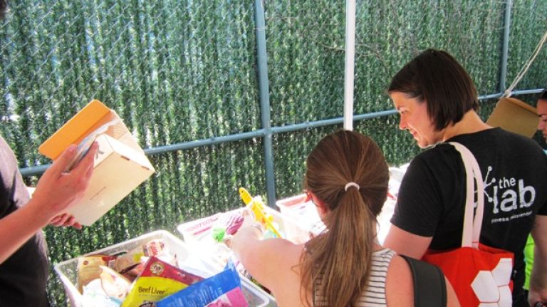 Hundreds of puppies gathered in Williamsburg for cuteness overload 25 Visitors to BarkFest were invited to make their own BarkBox, a collection of toys and treats for all kinds of pups.
