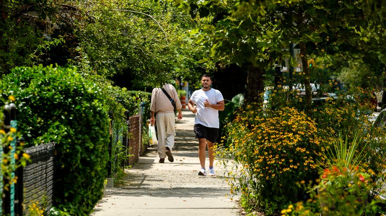 Brooklyn Botanic Garden recognized a stretch of Prospect Lefferts Garden as the 