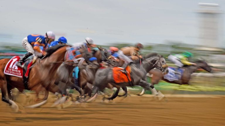 Race horses in the sixth race at Belmont Park on the afternoon of the Belmont Stakes on Saturday, June 6, 2015. No. 2 March won the race.