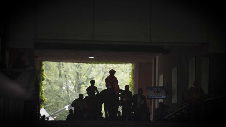 Horses at Belmont Park in Elmont for the 147th running of the Belmont Stakes on Saturday, June 6, 2015. 