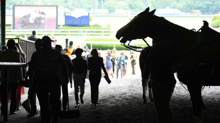 Horses in the tunnel at Belmont Park in Elmont on the morning of the Belmont Stakes on June 6, 2015.