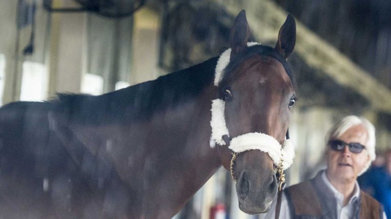 Trainer Bob Baffert walks Triple Crown challenger American Pharoah in Barn 1 after his arrival at Belmont Park Race Track in Elmont June 2, 2015.