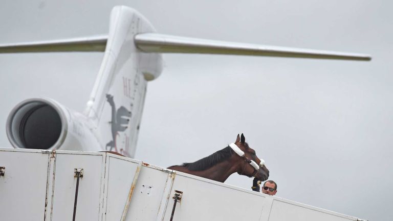 Triple Crown hopeful American Pharoah arrives at Long Island MacArthur Airport on June 2, 2015.
