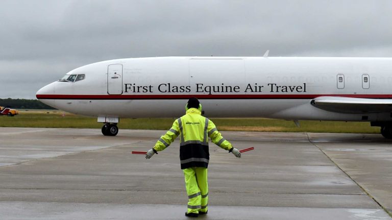 A Sheltair employee guides in the plane carrying Triple Crown hopeful American Pharoah as he arrives at Long Island MacArthur Airport on June 2, 2015.