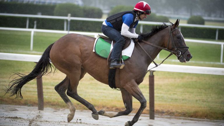 Horses work out on a soupy race track at Belmont Park in Elmont June 2, 2015.