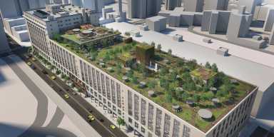 Morgan North – Green Roof Rendering