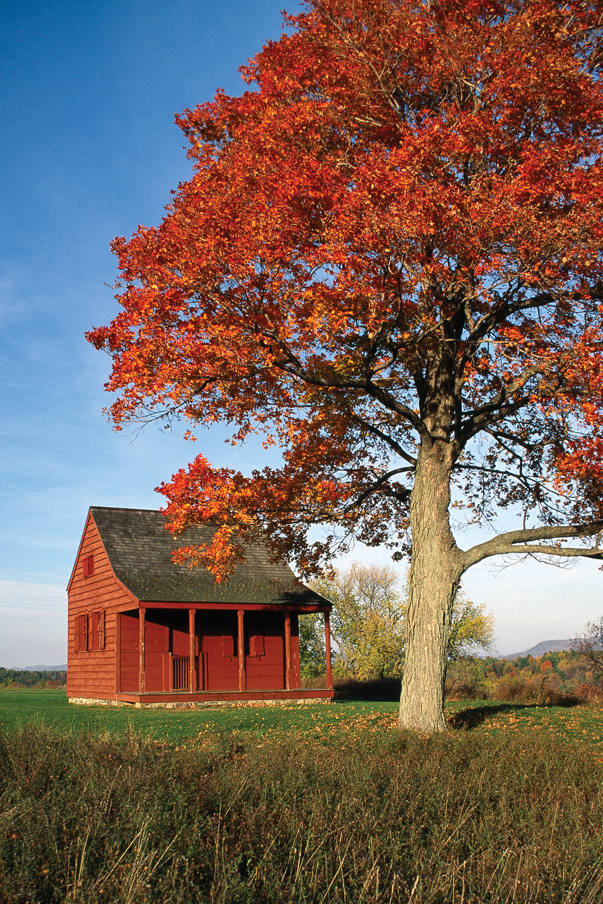 Where to see fall foliage upstate this weekend without renting a car 4