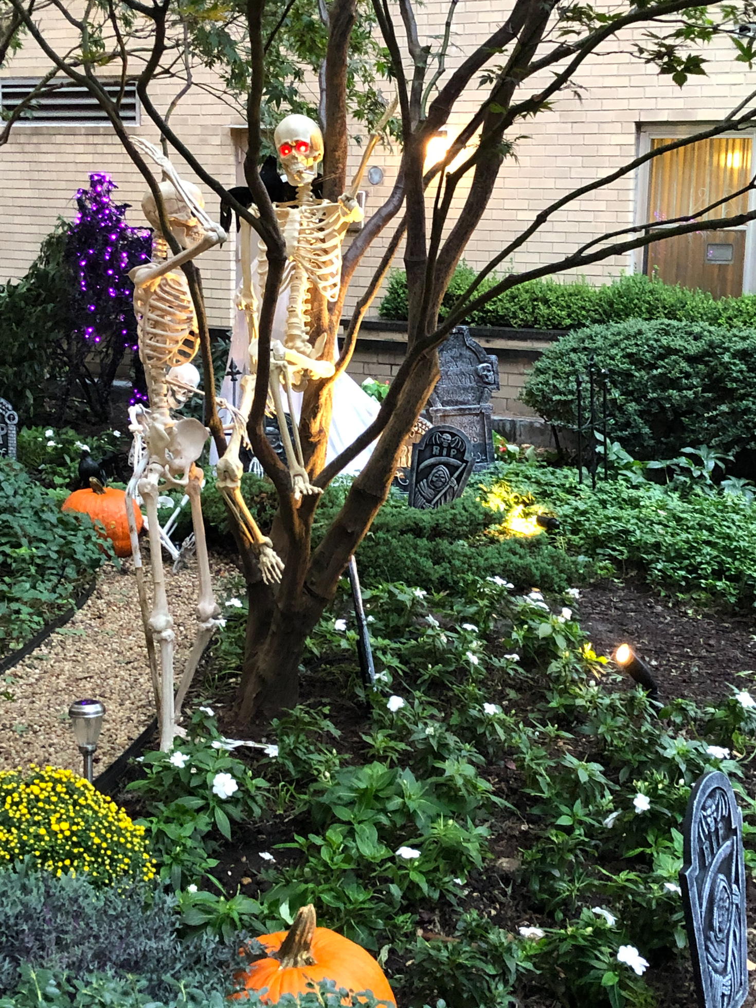 Village scares at East Ninth Street Halloween display | amNewYork