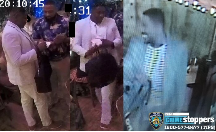 Greenwich Village blotter includes purse thefts in restaurants and an attempted assault 1