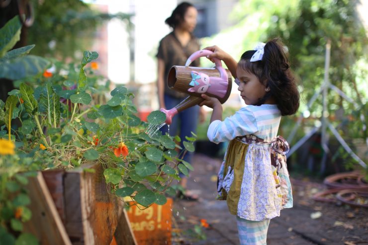 Amid fears of gentrification in Harlem, this urban farm seeks ...