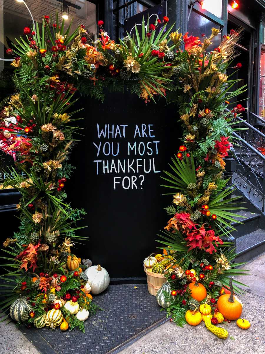 TQ-thanksgiving -9917