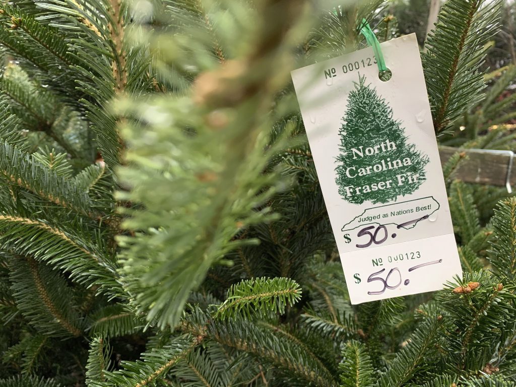 Christmas Trees Tight Supplies