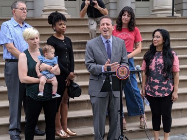 Council Member Brad Lander, speaking, was prime sponsor of the bill. (City Council)