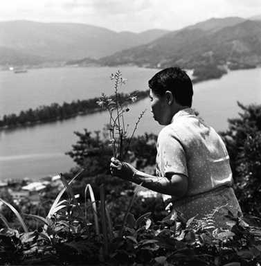 Issei Suda Amanohashibate, Kyoto, 1979