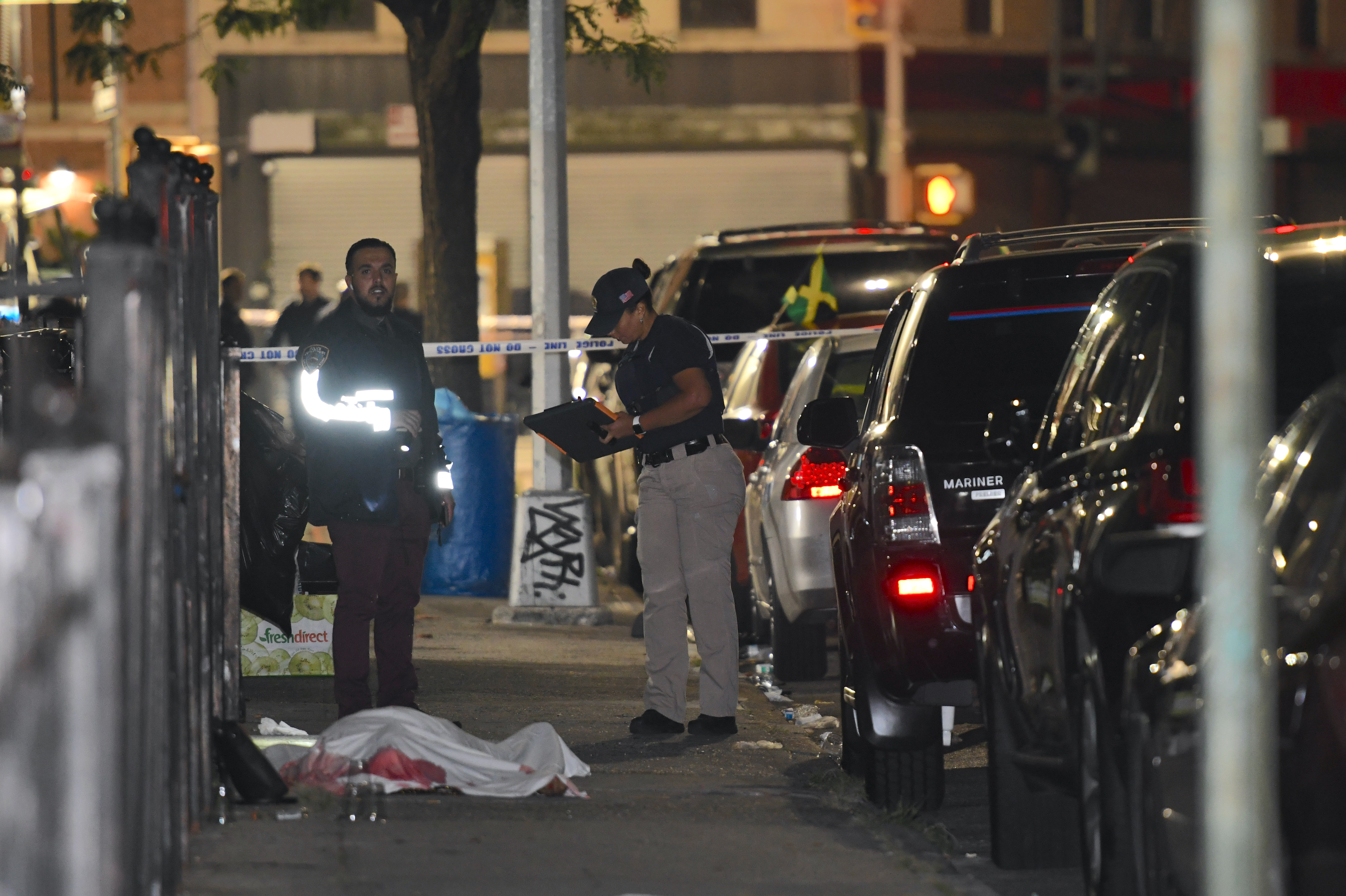 Murder and hate incidents up, but overall crime fell in 2019: NYPD report 10