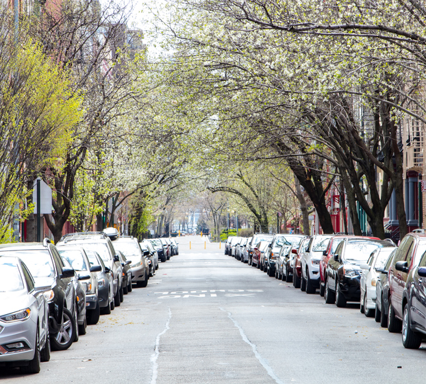 Cars parked along a city street with a canopy of trees overhead in New York City NYC
