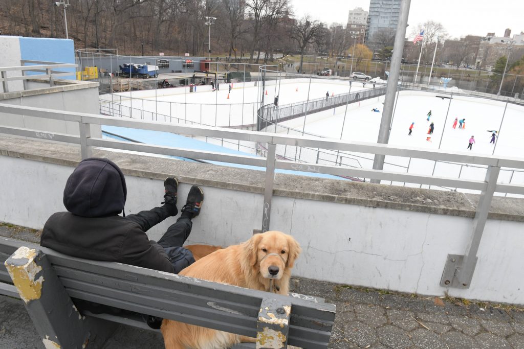 Central Park Lasker pool and rink redesign vote postponed once again 2