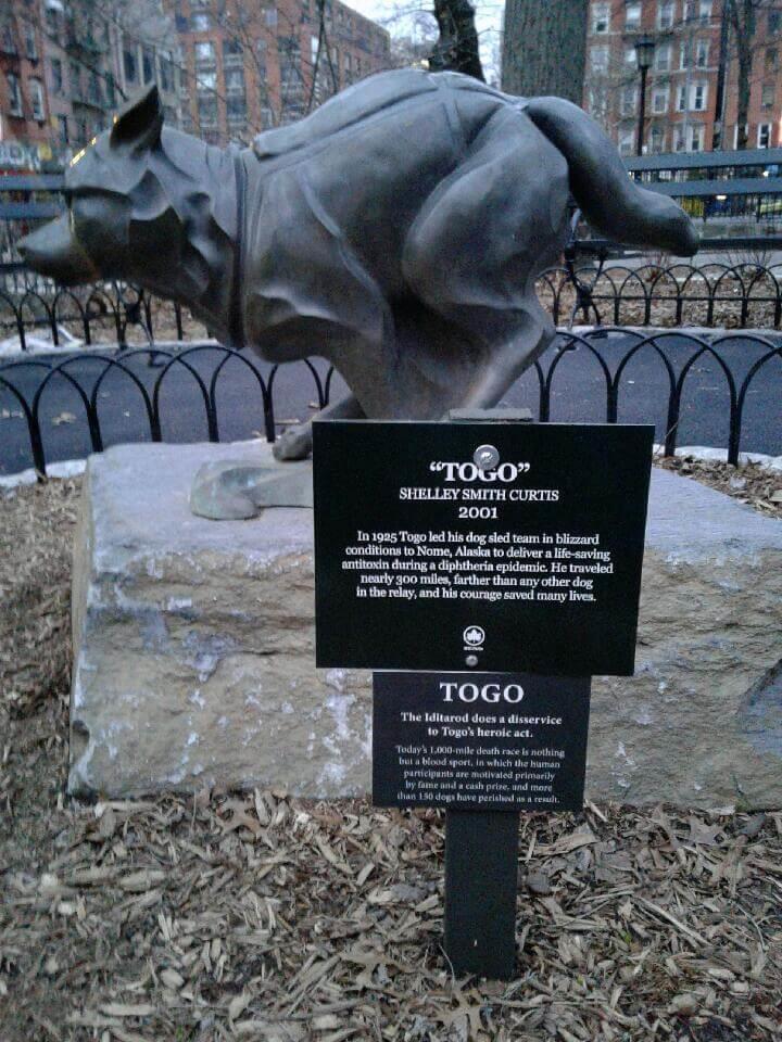 sled dog with statue in central park