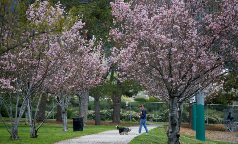 FILE PHOTO: The global outbreak of coronavirus disease (COVID-19) in Pasadena